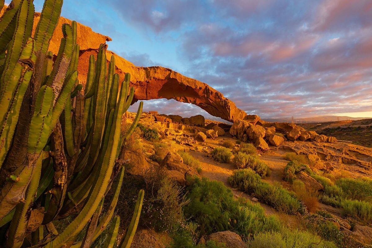 Scenic desert scene with cactus and natural rock arch at sunset.