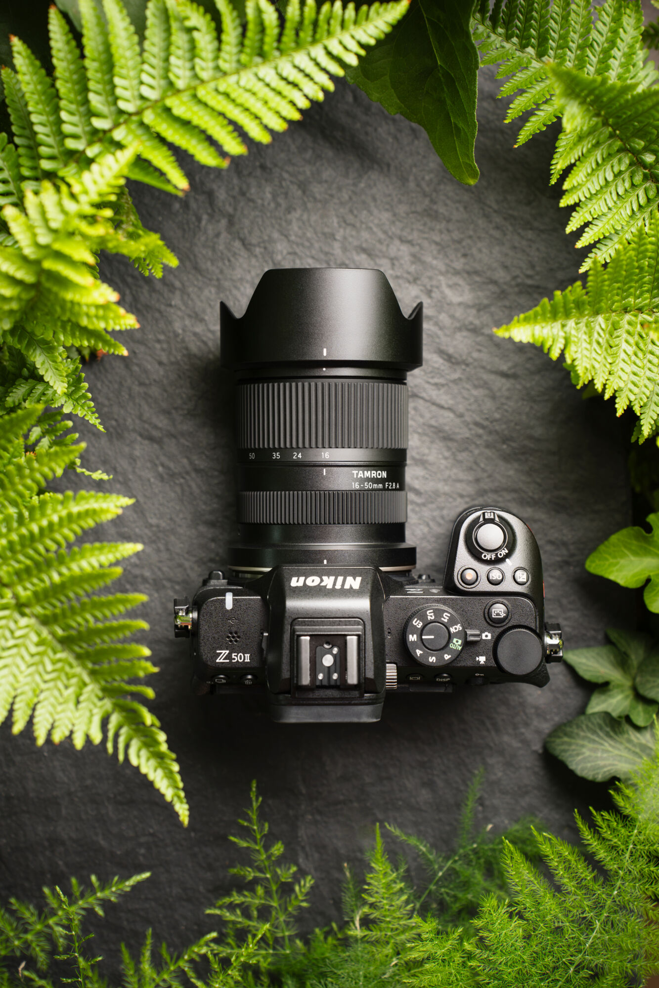 Tamron lens mounted on camera with green foliage background.